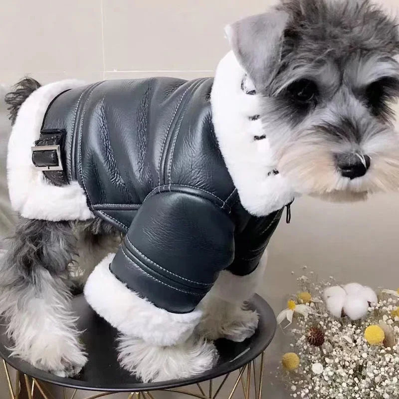 Pet Leather Winter Coat