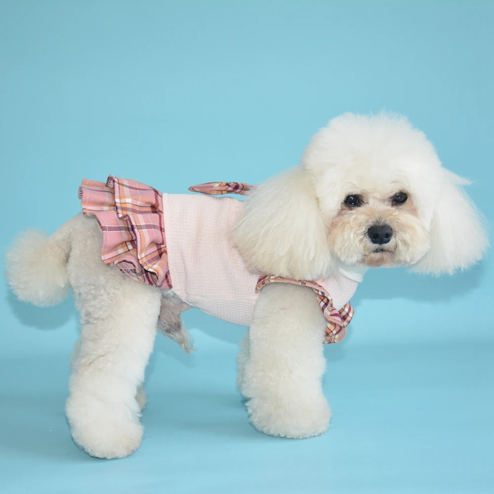 Breathable Summer Pet Dress