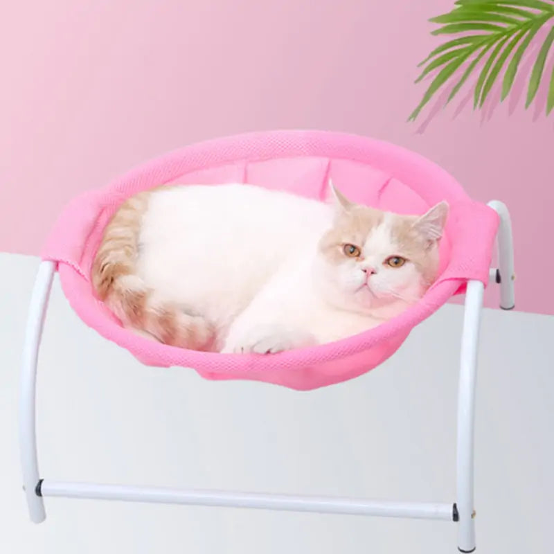 Iron Frame Pet Hammock